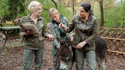 Esel Eddy schreit sich die Seele aus dem Leib. Tierärztin Dr. Mertens (Elisabeth Lanz) und ihre Assistentin Annett (Anna Bertheau) vermuten aus Liebeskummer. (Komparsin)