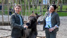 Conny und Susanne Mertens