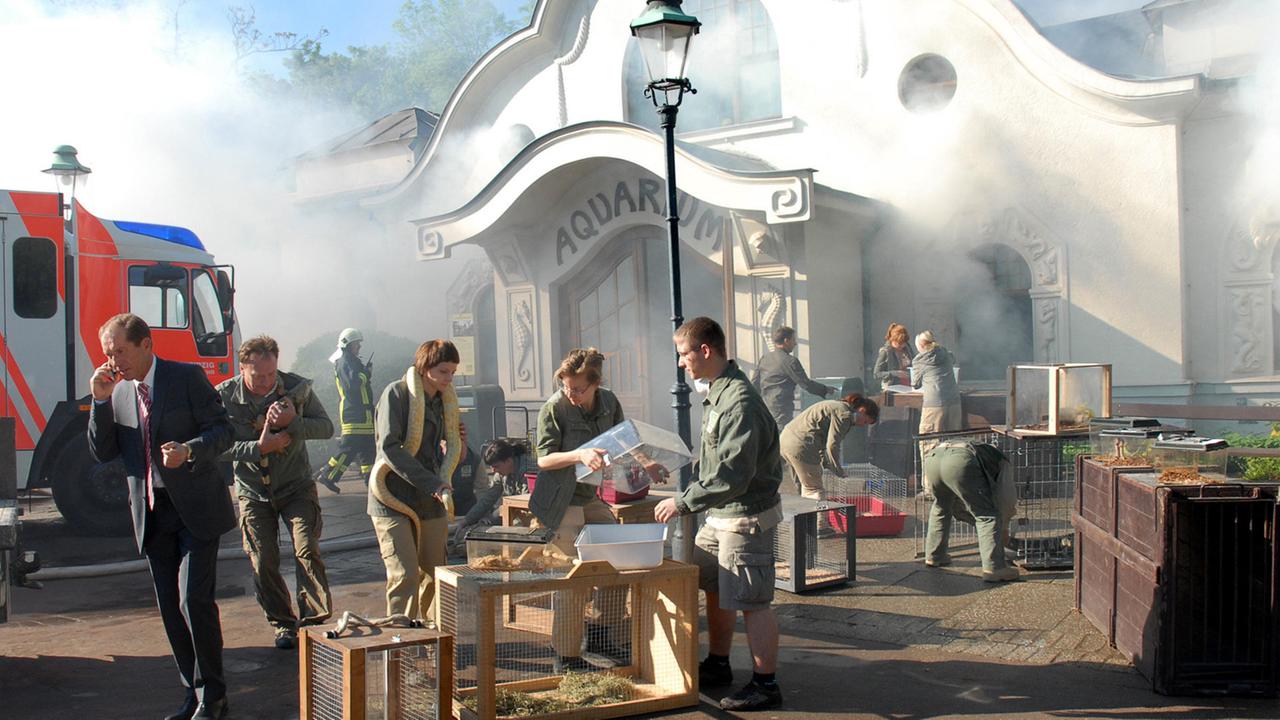 Feuer im Zoo