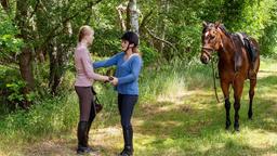 Glück im Unglück: die junge Helen (Marla Quandt) ist vom Pferd gestürzt, Tierärztin Dr. Susanne Mertens (Elisabeth Lanz) findet sie.