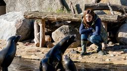 Krawall bei den Seelöwen: Der Leipziger Zoo braucht die Hilfe von der freien Tierärztin Dr. Susanne Mertens (Elisabeth Lanz).