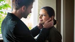 Mehr als nur eine Romanze? Zwischen der Tierärztin Dr. Mertens (Elisabeth Lanz) und dem Star-Pianisten Hannes Zoller (Hugo Grimm) hat es gefunkt! Werden die beiden wirklich ein Paar?