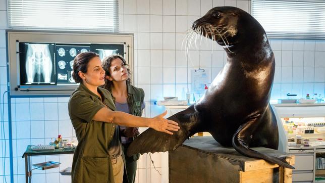 Seebär Buster ist ein freundliches Tier. Nicht alle Tiere begrüßen die Tierärztinnen Susanne Mertens (Elisabeth Lanz) und Karoline Schneider (Maxine Kazis) mit Handschlag.