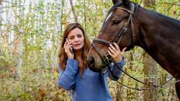 Susanne Mertens (Elisabeth Lanz) findet nach ihrem Sturz die verletzte Stute Caramal. Sie braucht dringend Hilfe, da das Tier behandelt werden muss!