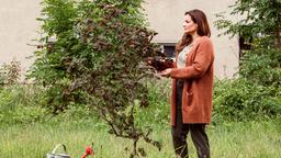 Susanne Mertens (Elisabeth Lanz) verbringt viel Zeit im Garten ihres Wochenendhauses. Hier hat sie gemeinsam mit ihrem verstorbenen Mann Christoph ein Bäumchen gepflanzt hat, welches sie nun alleine hegt und pflegt.