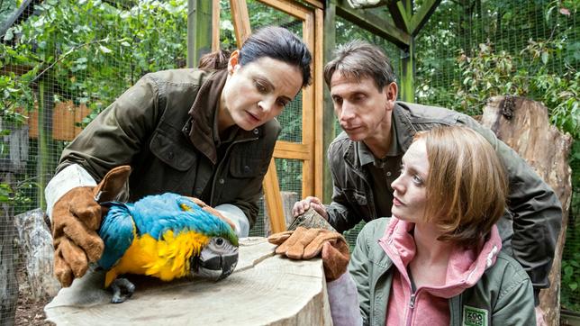 Bild: ARD/Steffen Junghans Tierärztin Dr. Mertens (Elisabeth Lanz), Chef-Tierpfleger Conny Weidner (Thorsten Wolf) und Assistenz-Tierärztin Rebecca (Janina Stopper) sorgen sich um einen Gelbbrust-Ara.