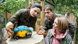 Tierärztin Dr. Mertens (Elisabeth Lanz), Chef-Tierpfleger Conny Weidner (Thorsten Wolf) und Assistenz-Tierärztin Rebecca (Janina Stopper) sorgen sich um einen Gelbbrust-Ara.