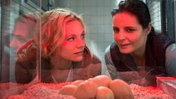 Tierärztin Dr. Mertens (Elisabeth Lanz) und ihre Assistentin Annett (Anna Bertheau) stellen erfreut fest, dass sämtliche Pythoneier befruchtet sind und der Nachwuchs wohl nicht lange auf sich warten lassen wird.