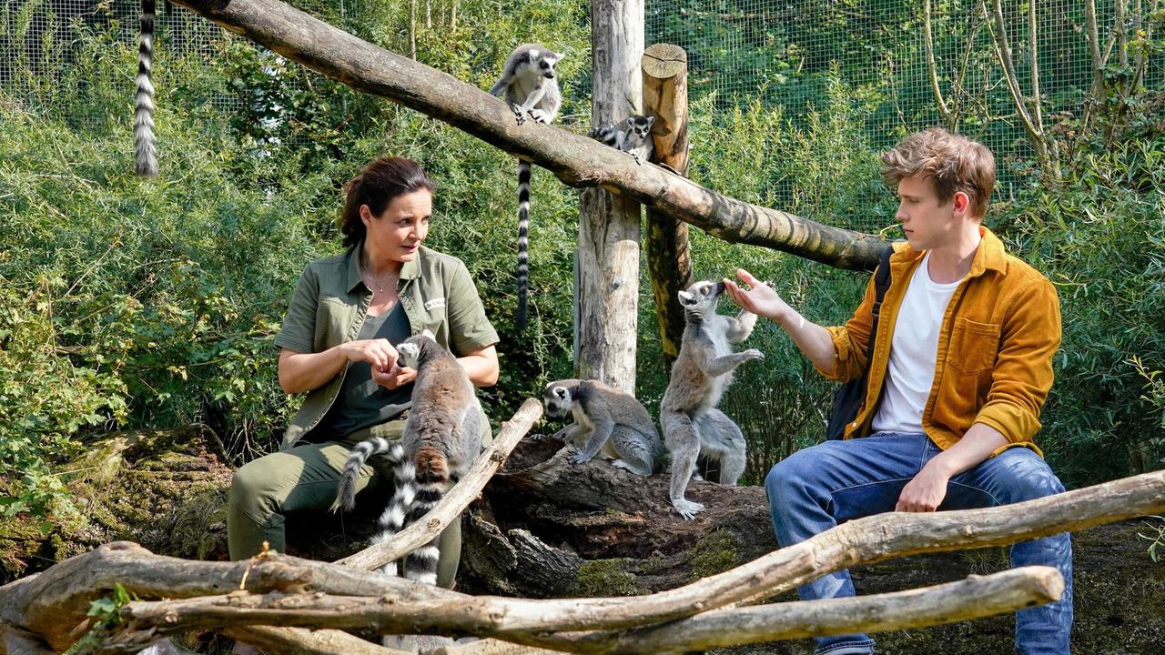 Tierärztin Dr. Susanne Mertens (Elisabeth Lanz) mit ihrem Sohn Jonas  (Lennart Betzgen) bei den Lemuren. Jonas kennt diesen Ort seit seiner Kindheit. Er sagt seiner Mutter, dass er nun vor Gericht ziehen möchte, um das Umgangsrecht für die Zwillinge zu bekommen, um die er sich fast drei Jahre gekümmert hat.