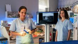 Tierärztin Dr. Susanne Mertens (Elisabeth Lanz) und ihre Kollegin Karoline Schneider (Maxine Kazis) bereiten sich auf die Operation eines kleinen Äffchens mit Miniatur-OP-Besteck vor.