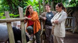 Tierärztin Dr. Susanne Mertens (Elisabeth Lanz) unterstützt ihre Cheftierärztin Dr. Elif Şahin (Neshe Demir) bei der Trächtigkeitsuntersuchung eines Tapirs. Nachwuchs bei den Tapiren ist die große Hoffnung des Direktors Jasper Winter (Dominik Weber).