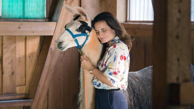 Tierärztin Susanne Mertens (Elisabeth Lanz) stellt fest, dass Alpaka Pedro tatsächlich heilende Kräfte hat. Aufgewühlte Seelen beruhigt er durch Summen und bringt sie wieder in Einklang. Bei Susanne haben die Kräfte gewirkt.