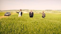 Vorstadtweiber: Bertram (Lucas Gregorowicz), Hadrian (Bernhard Schir) und Georg (Jürgen Maurer)