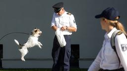 Christoph Grunert mit WaPo-Hund Stulle bei einer Probe vor der Wache.