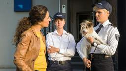 Marlene Weber (Melina Borcherding) mit Hund "Stulle", teilt Jasmin Sayed (Sesede Terziyan, li.) und Paula Sprenger (Sarina Radomski) die neuesten Erkenntnisse über den Verdächtigen Thomas Schröder mit.