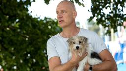 Wolf Malletzke (Christoph Grunert) mit Hund Stulle muss herausfinden, ob jemand aus seiner Kleingartenkolonie gemordet hat, um ihre Wochenendidylle zur retten.