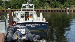 Die Silbermöwe liegt im Hafenbecken vor der Wache in Treptow-Köpenick.