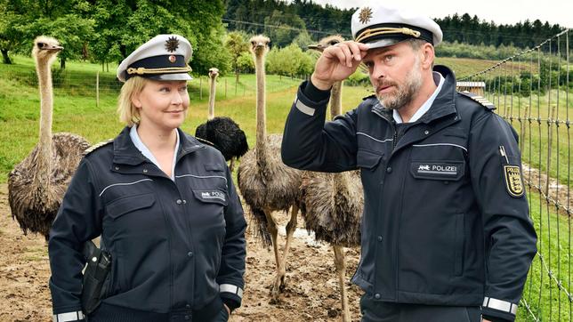 Bild: ARD/SWR/Patrick Pfeiffer Ermittlungen auf der Straußenfarm: Nele (Floriane Daniel) und Andreas Rambach (Ole Puppe).