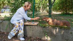 Mechthild (Diana Körner) nähert sich Nachbarshund Caesar mit einem Leckerli.