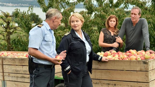 Bild: ARD/SWR/Patrick Pfeiffer Nele (Floriane Daniel) und ihr neuer Kollege Paul Schott (Tim Wilde) ermitteln auf der Streuobstplantage von Vera (Fiona Coors, im HG) und Fred Romberg (Jochen Nickel, im HG).