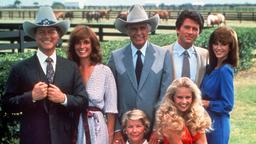 DALLAS / USA / Raymond Krebbs (STEVE KANALY), Clifford (Cliff) Barnes (KEN KERCHEVAL), Sue Ellen Shepard Ewing (LINDA GRAY), John Ross II. Ewing (LARRY HAGMAN), Bobby James Ewing (PATRICK DUFFY), Pamela Jean (Pam) Barnes Ewing (VICTORIA PRINCIPAL), Lucy Ann Ewing Cooper (CHARLENE TILTON), Eleanor Ewing Farlow (BARBARA BEL GEDDES), Donna Culver Krebbs (SUSAN HOWARD).