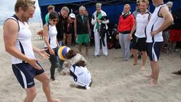 Das Team von "Rote Rosen" hatte Herman, den Hund von Niklas Osterloh, beim Beachvolleyball-Starcup 2014 dabei.
