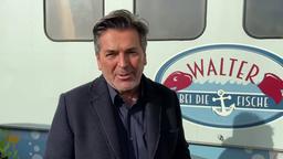 Thomas Anders als Thomas Anders bei "Rote Rosen"