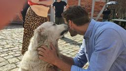 Tierischer Rosen-Star: Hund Casper ist Kalle