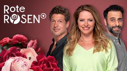 video vor den kopf gestossen 3461 rote rosen ard das erste