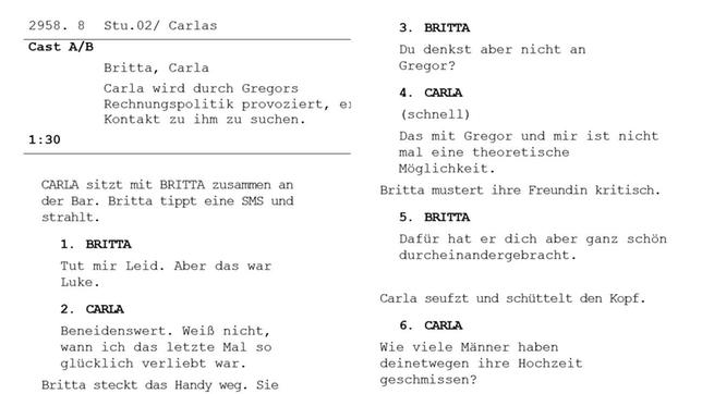Bild: ARD So sehen unsere "Rote Rosen"-Skripts aus – keine Sorge: Ihr schreibt eure Ideen einfach unformatiert in das Textfeld unten hinein.