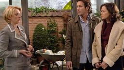 Alice, Mark und Petra