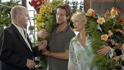 Konrad, Alice und Marc