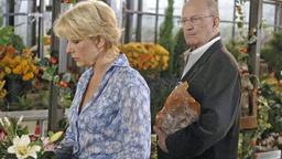 Konrad und Alice
