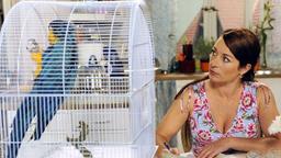 Carla mit dem Vogel
