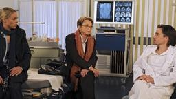 Britta, Prof. Dr. Dr. Thies und Dr. Engels