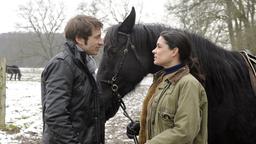 Falk und Anne