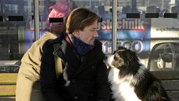 Steffen