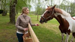 Amelie (Lara-Isabelle Rentinck) freundet sich mit Pferd "Bijou" an.