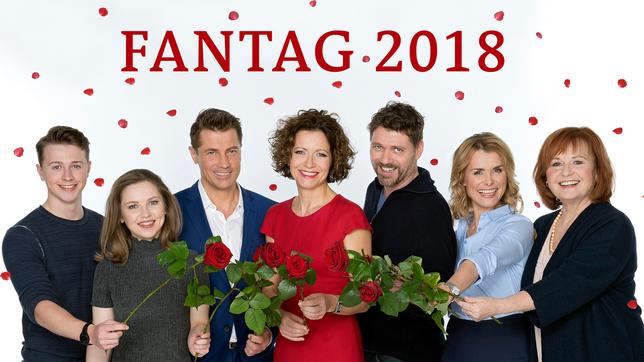 100 rote rosen kaufen