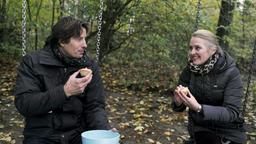 Ben und Sonja schaukeln