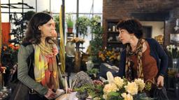 Merle und Rieke