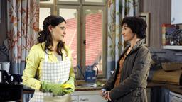 Merle und Rieke