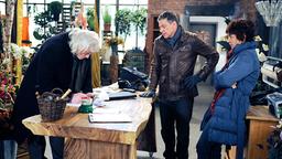 Rainer, Dieck und Merle