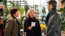 Merle, Tine und Ole