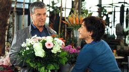 Rote Rosen Folge 1846: Sebastian kauft bei Merle ein Strauß Blumen