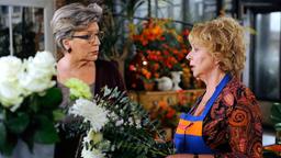 Rote Rosen Folge 1881 08.01.2015: Erika und Inge