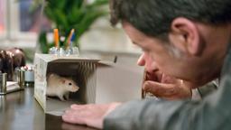 Rote Rosen Folge 1959 19.05.2015: Gunter mit einer Ratte