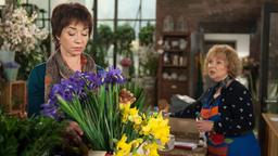 Rote Rosen Folge 1972 08.06.2015: Merle und Erika