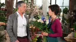 Rote Rosen Folge 1997 14.07.2015: Sebastian und Merle