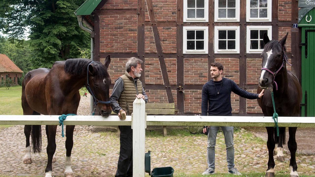 Gunter (Hermann Toelcke) hofft, dass David (Arne Rudolf) sich zu einem gemeinsamen Ausritt überreden lässt.